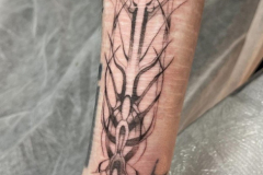 Picture12