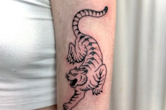 Picture39