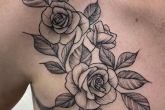 Roses tattoo