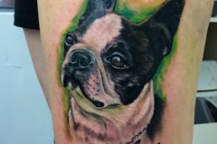 Boston Terrier Tattoo