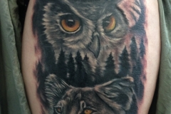 Lion and Owl Tattoo