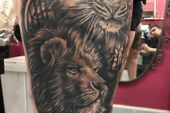 Lion Tattoo