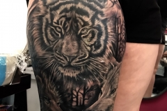 Tiger Tattoo