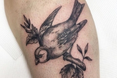 Melbourne Blackwork Tattoo | Black & Grey Tattoo