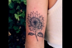 Fine-line-work-Sunflower-Tattoo