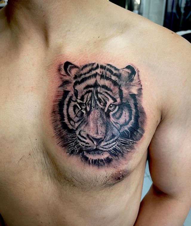 Lion Chest Tattoo  Best Tattoo Ideas Gallery